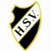 Wappen / Logo des Vereins SV Hoengen