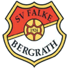 Wappen / Logo des Teams Falke Bergrath