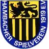 Wappen / Logo des Teams Hambacher Spielverein 1919V