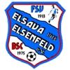 Wappen / Logo des Teams Elsava 1913 Elsenfeld