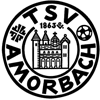 Wappen / Logo des Teams TSV Amorbach