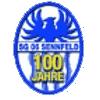 Wappen / Logo des Teams SG Sennfeld/Gochsheim