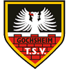 Wappen / Logo des Vereins TSV 1906 Gochsheim