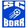 Wappen / Logo des Vereins SC Borr
