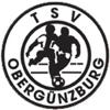 Wappen / Logo des Vereins TSV 1862 Obergnzburg