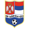 Wappen / Logo des Teams Dusan Silni