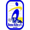 Wappen / Logo des Vereins Bosna Kln