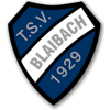 Wappen / Logo des Teams SG Blaibach 2 / Lederdorn 2