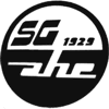 Wappen / Logo des Teams SG Ahe 1929