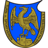 Wappen / Logo des Teams TSV Falkenstein