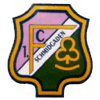 Wappen / Logo des Teams 1. FC Schmidgaden 2