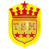 Wappen / Logo des Teams Trkspor Mosbach 1993 2
