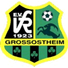 Wappen / Logo des Teams VfR Groostheim