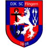 Wappen / Logo des Teams DJK SC Flingern