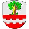 Wappen / Logo des Teams VFL Witzhelden 2 2