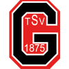 Wappen / Logo des Teams TSV Gggingen 2