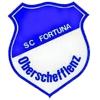Wappen / Logo des Teams SG Schefflenz