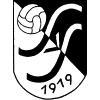 Wappen / Logo des Teams SV 19 Sevelen