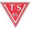 Wappen / Logo des Teams TSV Broich