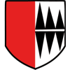 Wappen / Logo des Teams SSV Anhausen