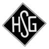 Wappen / Logo des Teams Holzheimer SG 1920 3