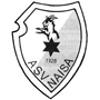 Wappen / Logo des Teams ASV Naisa