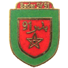 Wappen / Logo des Vereins Bader SV 91