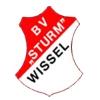 Wappen / Logo des Teams BV Sturm Wissel