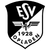 Wappen / Logo des Teams ESV SW 1928 Opladen
