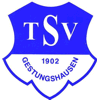 Wappen / Logo des Teams SG TSV Gestungshausen / SC Hassenberg 2