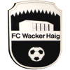 Wappen / Logo des Teams Haig/Gundelsdorf