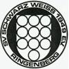 Wappen / Logo des Teams JSG Ringen/Berg B1 8er