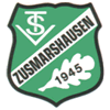Wappen / Logo des Teams TSV Zusmarshausen