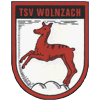 Wappen / Logo des Teams TSV 1884 Wolnzach/Markt