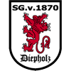 Wappen / Logo des Vereins SG Diepholz