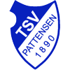Wappen / Logo des Teams TSV Pattensen 3