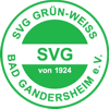Wappen / Logo des Teams SVG GW Bad Gandersheim