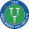 Wappen / Logo des Teams TSV Seulingen