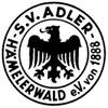Wappen / Logo des Teams Adler Hmelerwald