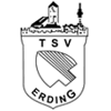Wappen / Logo des Teams TSV Erding