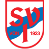 Wappen / Logo des Teams B-SV Ilmenau