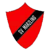 Wappen / Logo des Vereins SV Marzling