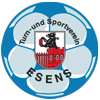 Wappen / Logo des Teams TUS Esens