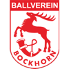 Wappen / Logo des Teams BV Bockhorn 3