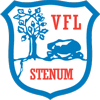 Wappen / Logo des Teams VFL Stenum V -