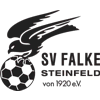 Wappen / Logo des Teams Falke Steinfeld 2