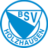 Wappen / Logo des Teams BSV Holzhausen U7