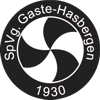 Wappen / Logo des Teams SPVG Gaste-Hasbergen