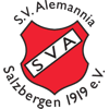 Wappen / Logo des Teams Alemannia Salzbergen 2