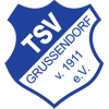 Wappen / Logo des Teams TSV Gruendorf